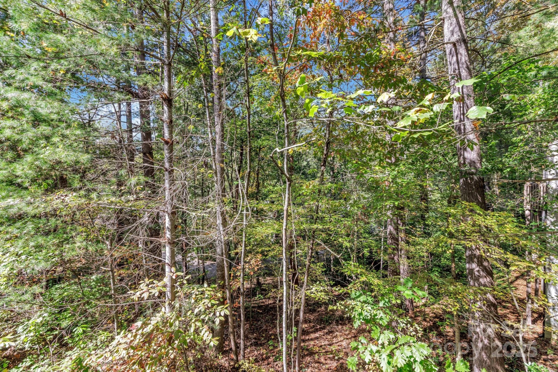 23 Cedarwood Trail #B - Photo 42