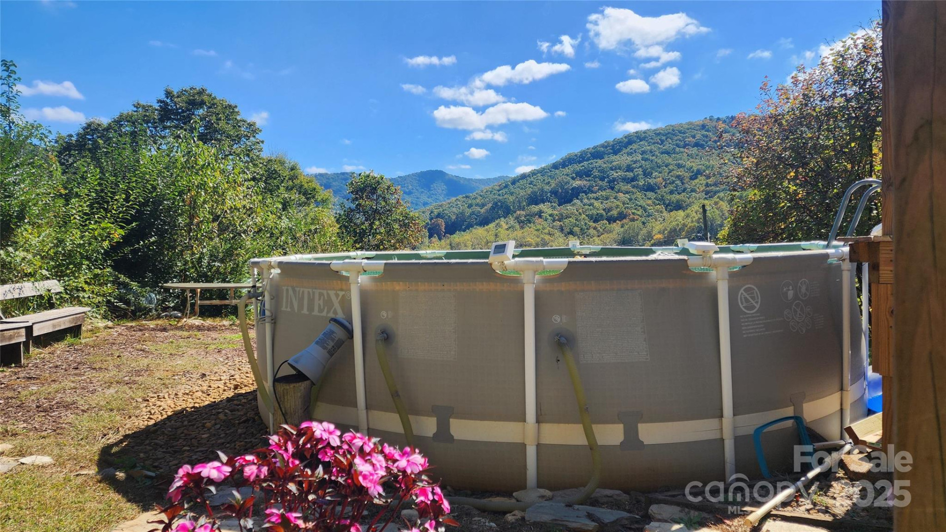 41 Gunches Dirt Road - Photo 13