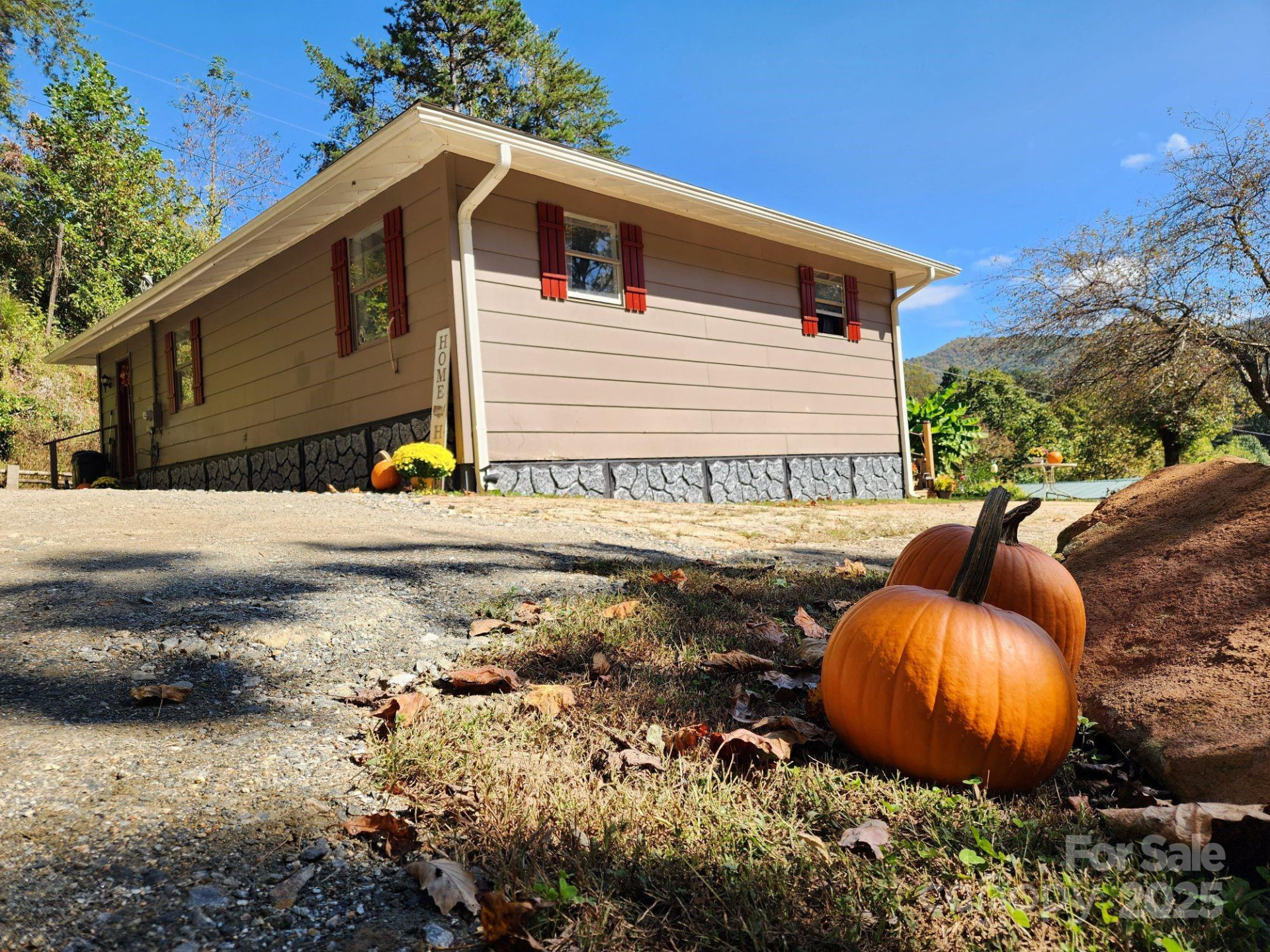 41 Gunches Dirt Road - Photo 6