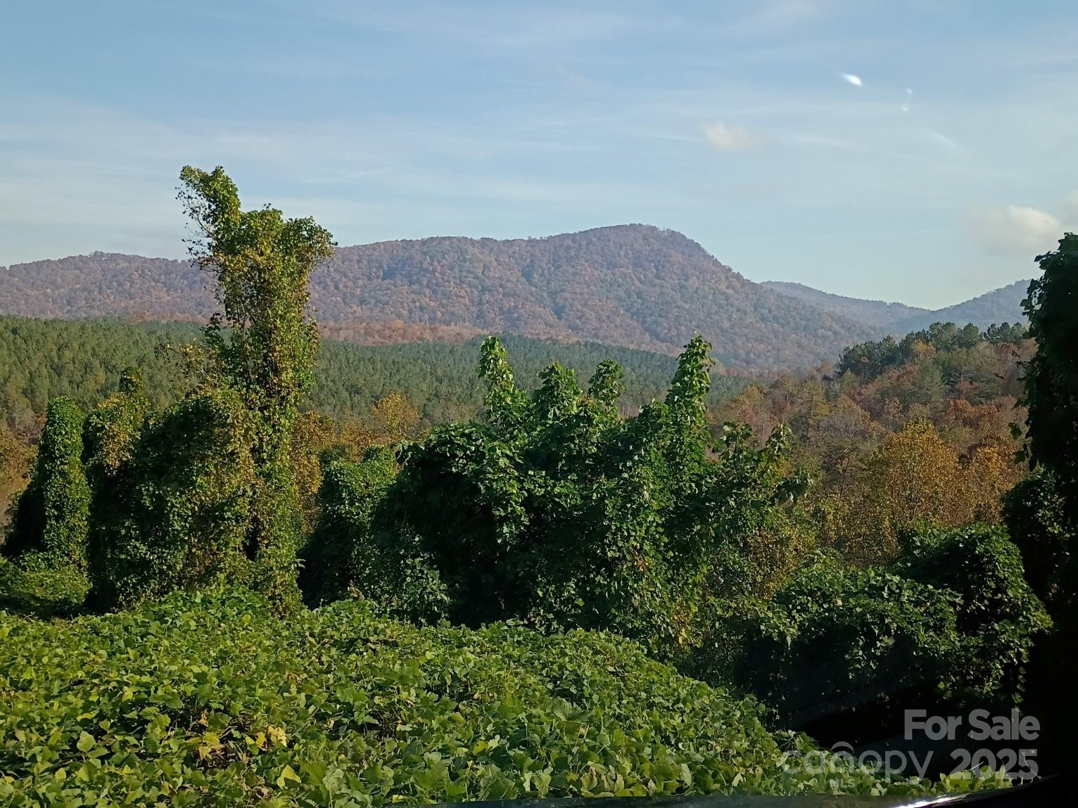 3024 Camp Creek Road - Photo 2