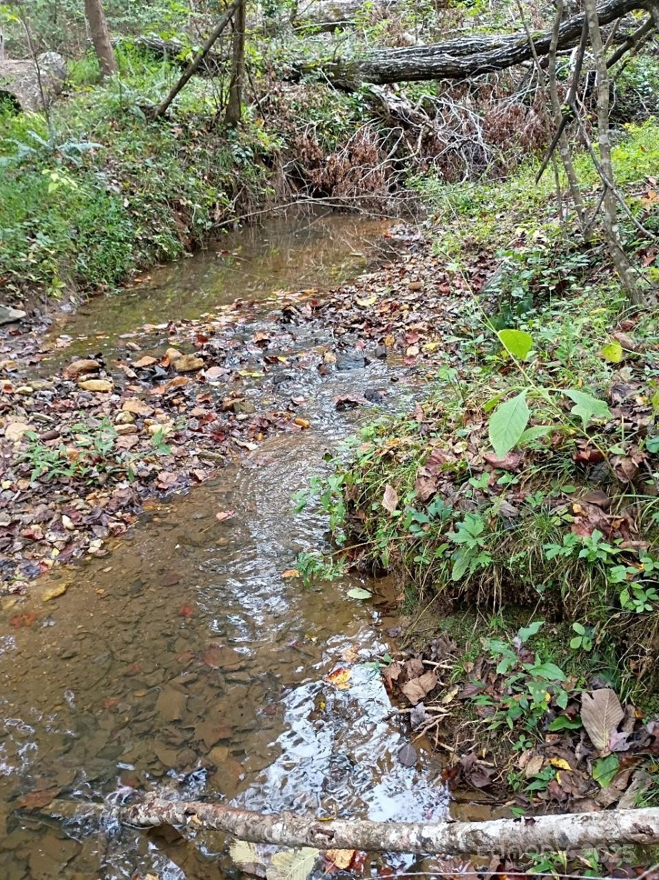 3024 Camp Creek Road - Photo 4