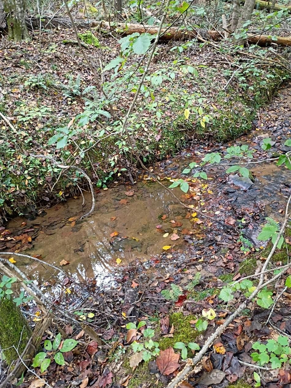 3024 Camp Creek Road - Photo 7