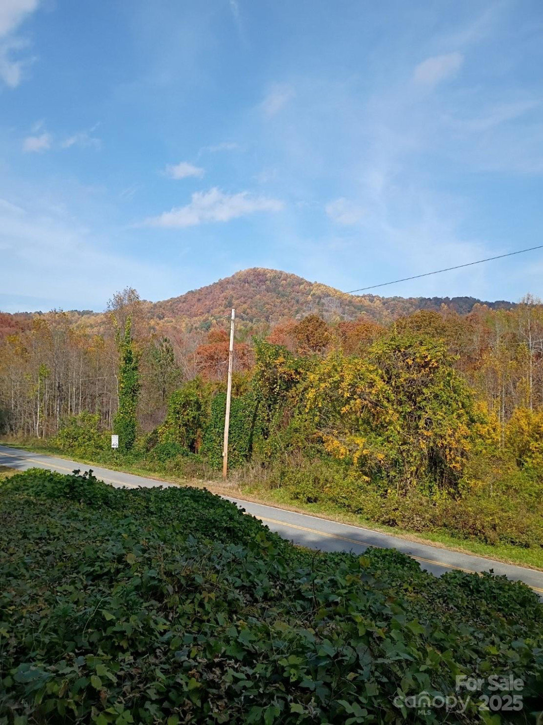 3024 Camp Creek Road - Photo 8