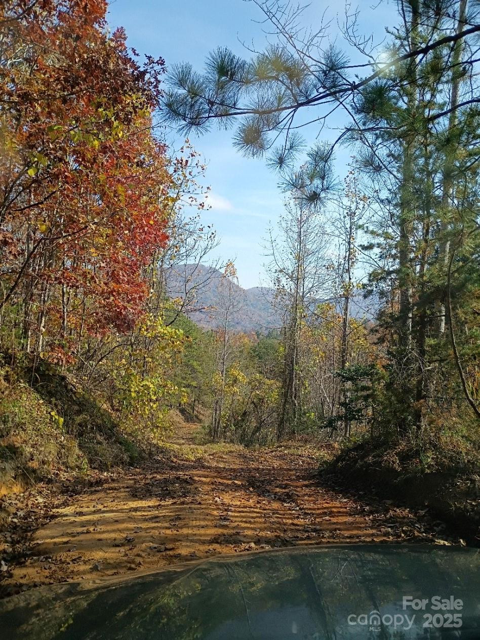 3024 Camp Creek Road - Photo 9