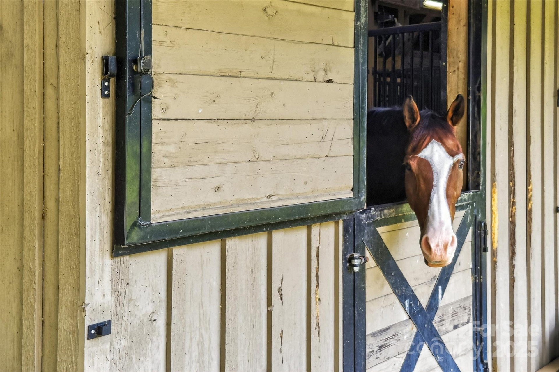 305 Clubhouse Lane #B102 - Photo 41