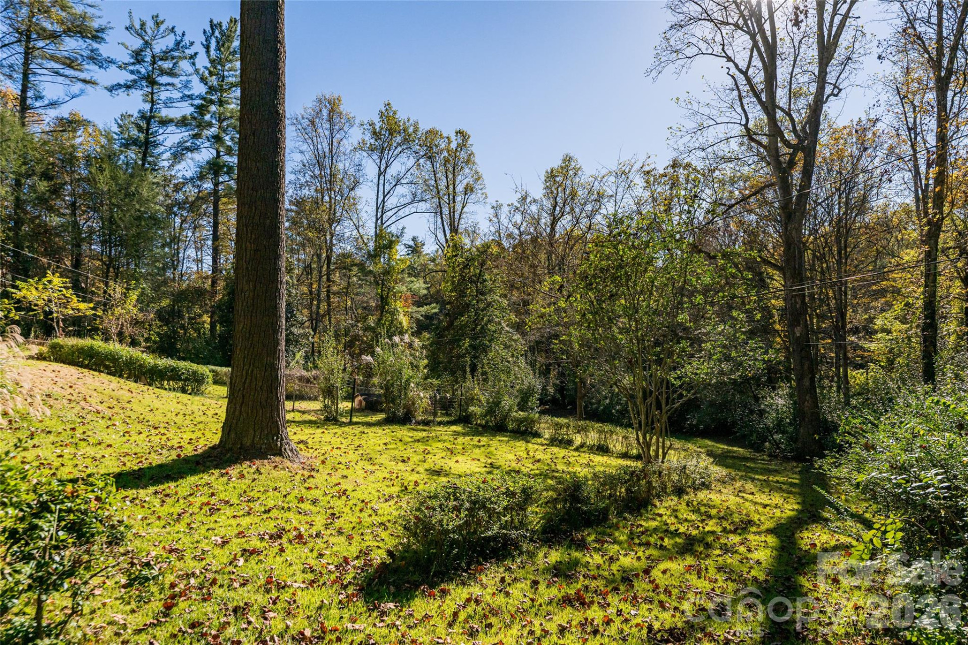 325 Vanderbilt Road - Photo 40