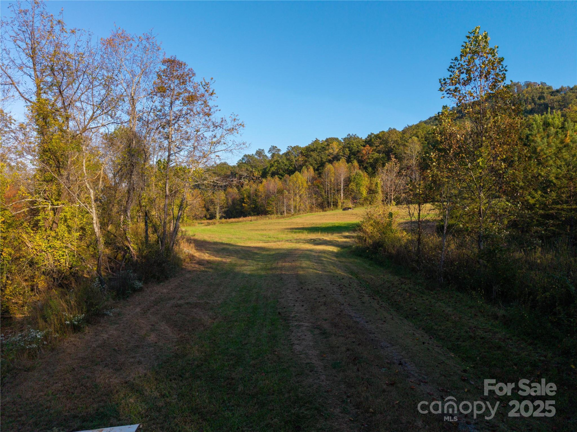 00 High Pines Loop - Photo 6