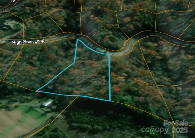 00 High Pines Loop - Photo 7