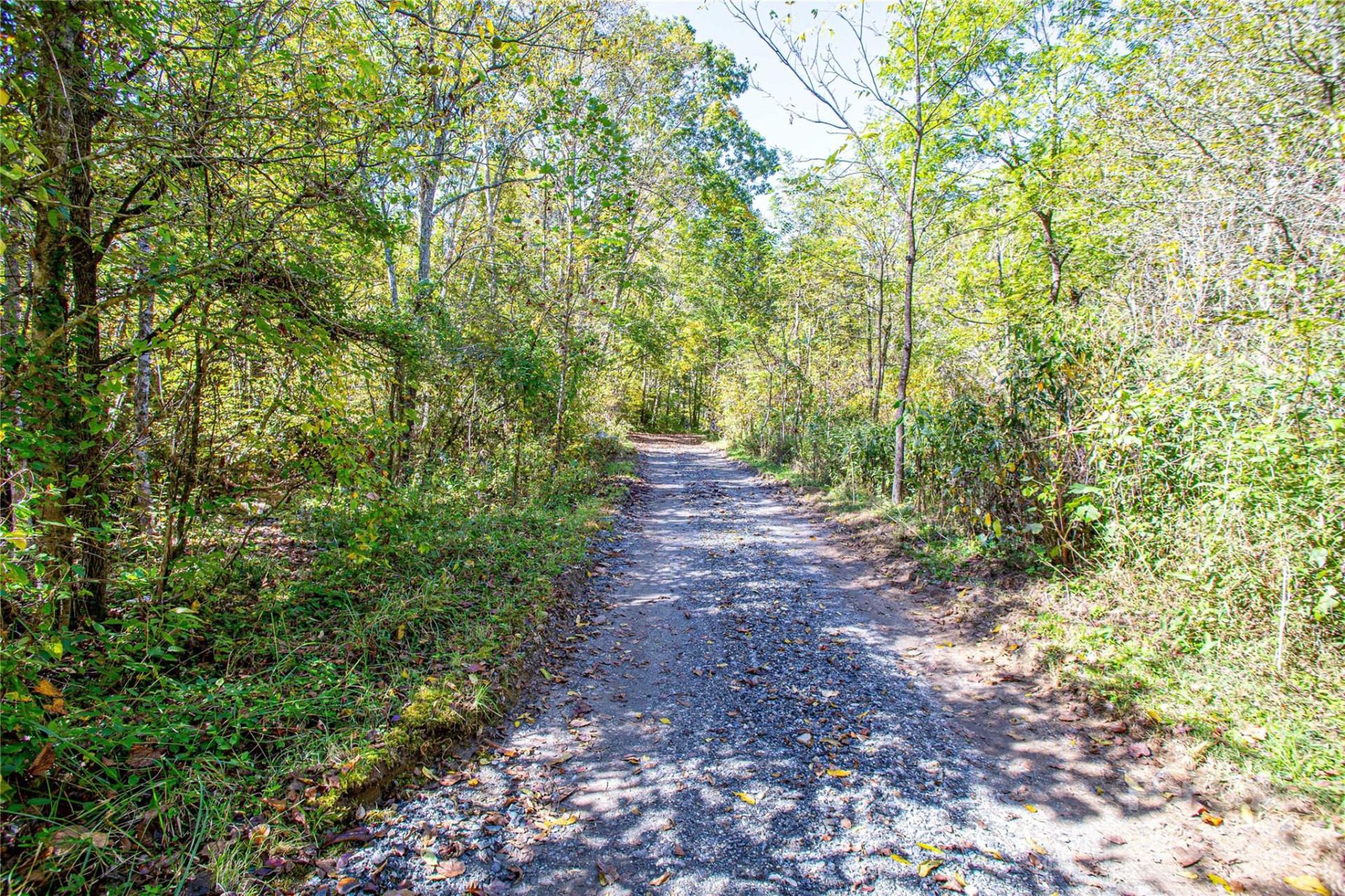 10 Dodd Road - Photo 4