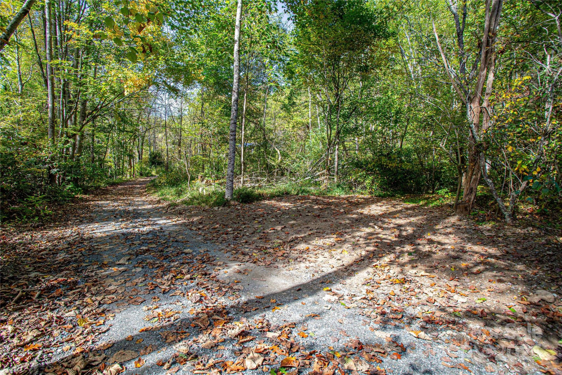 10 Dodd Road - Photo 5