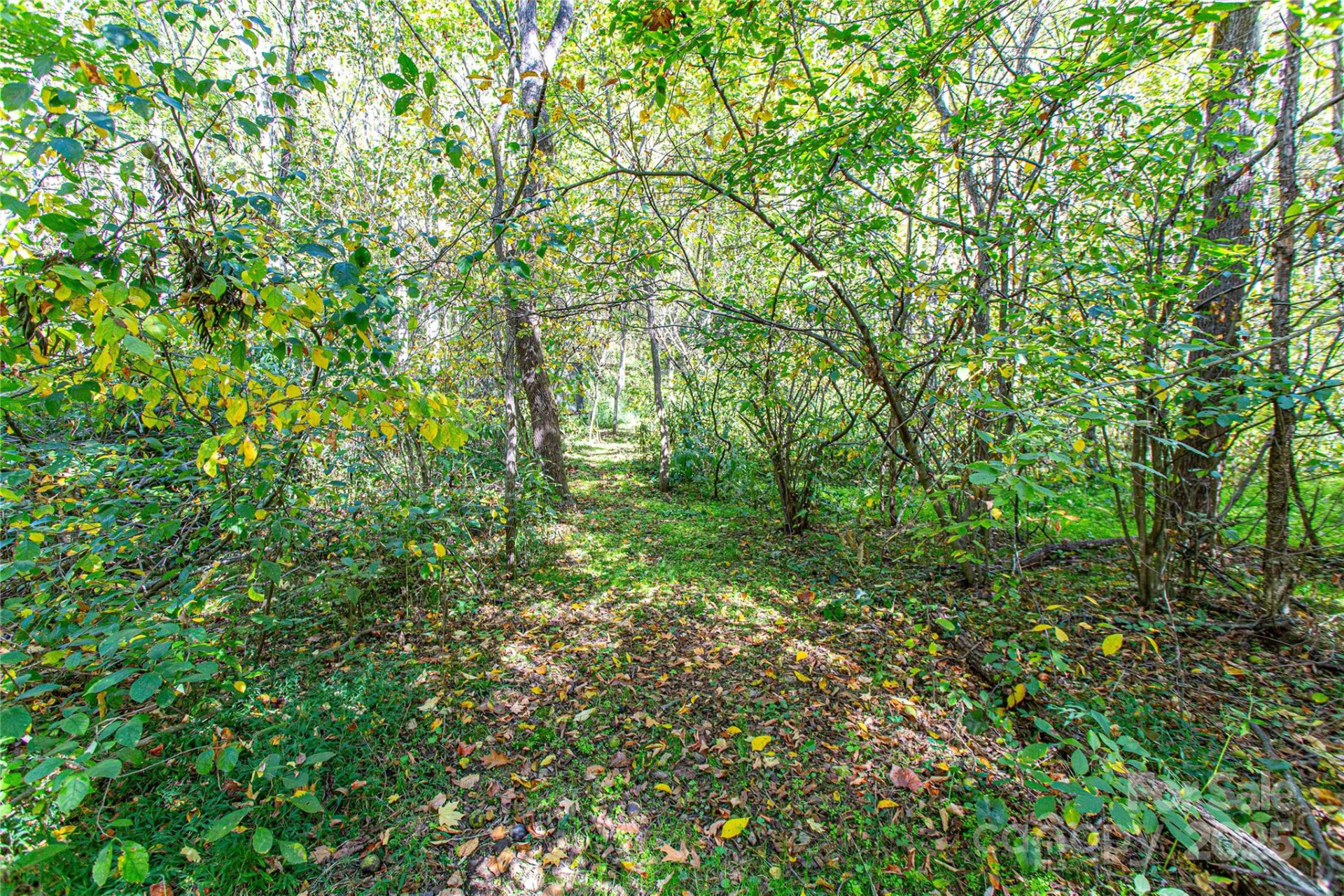 10 Dodd Road - Photo 6