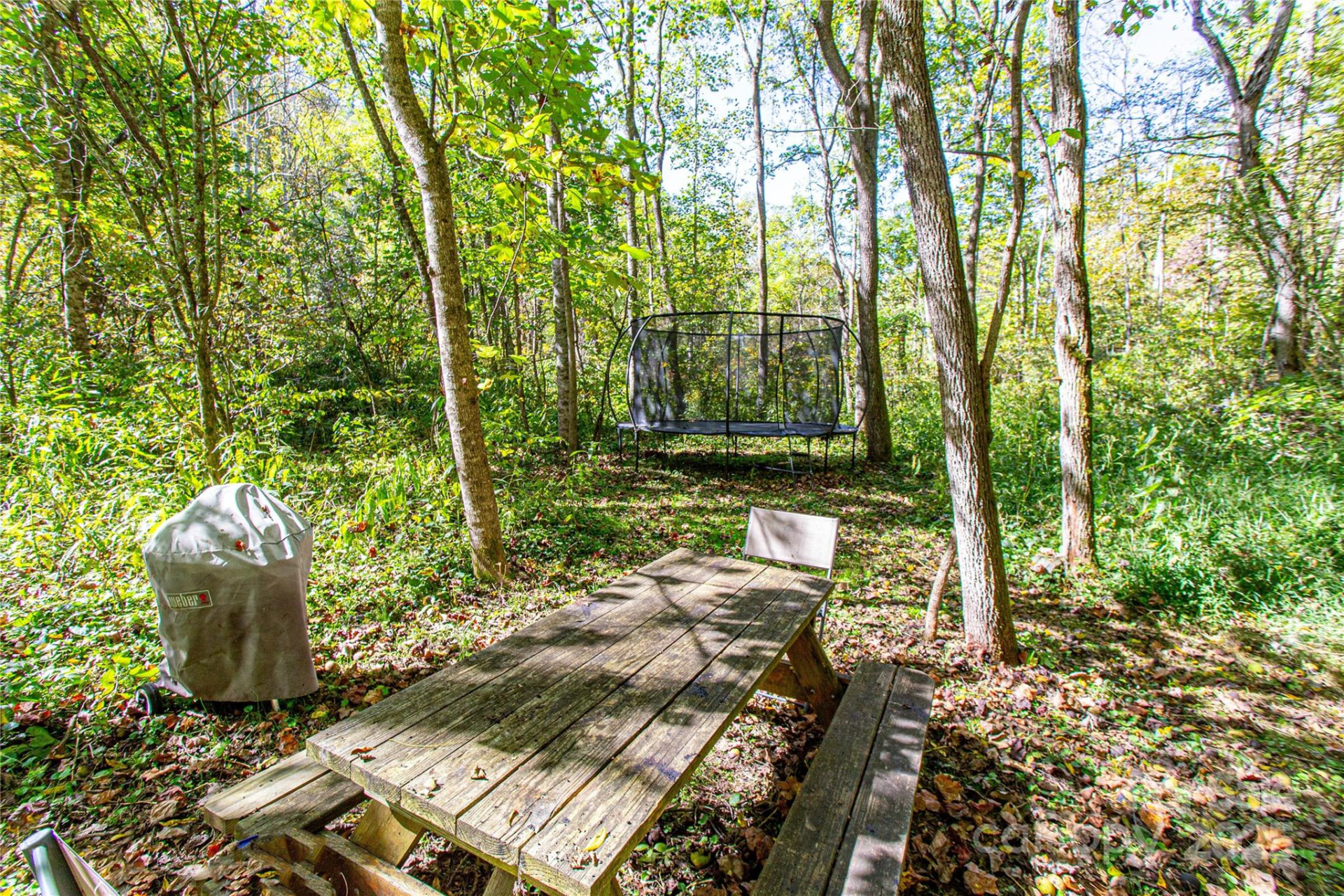10 Dodd Road - Photo 8
