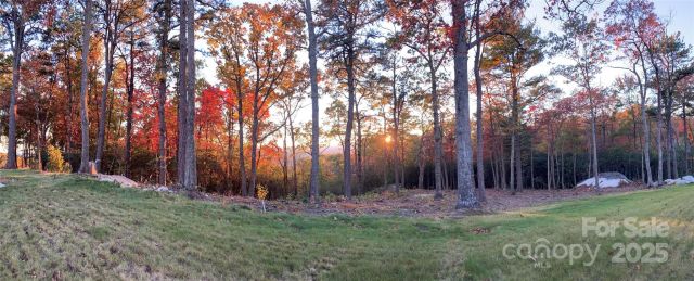 0 Mountain Grove Lane