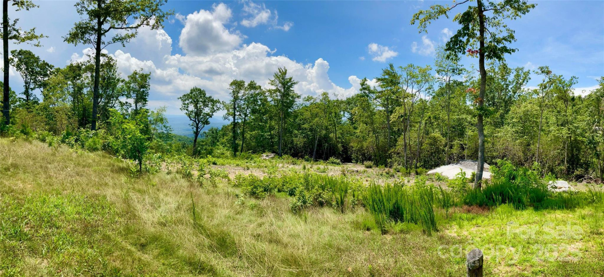 0 Mountain Grove Lane #48 - Photo 2