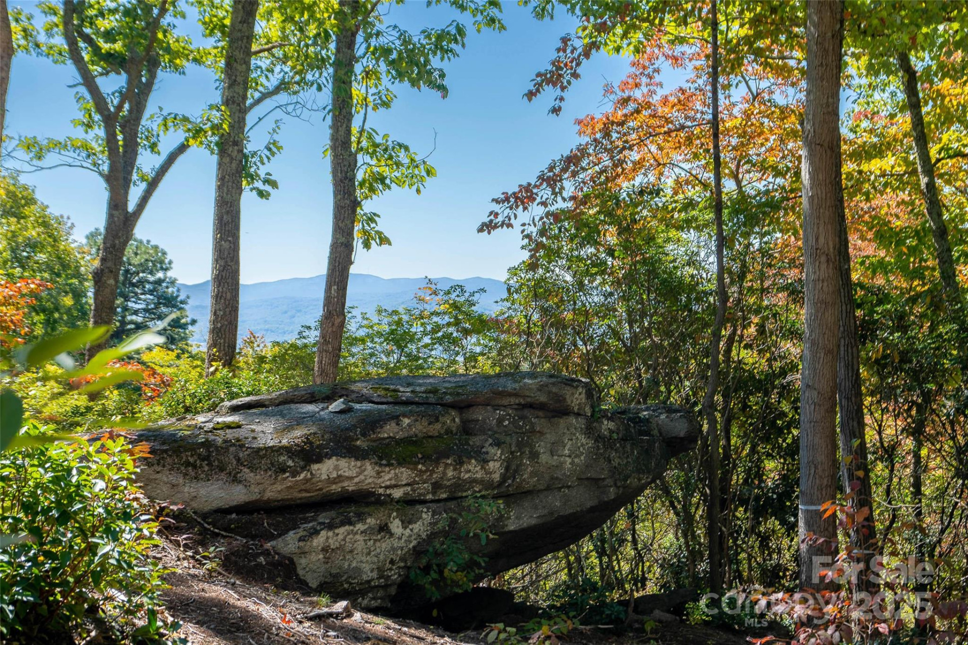 0 Mountain Grove Lane #48 - Photo 3