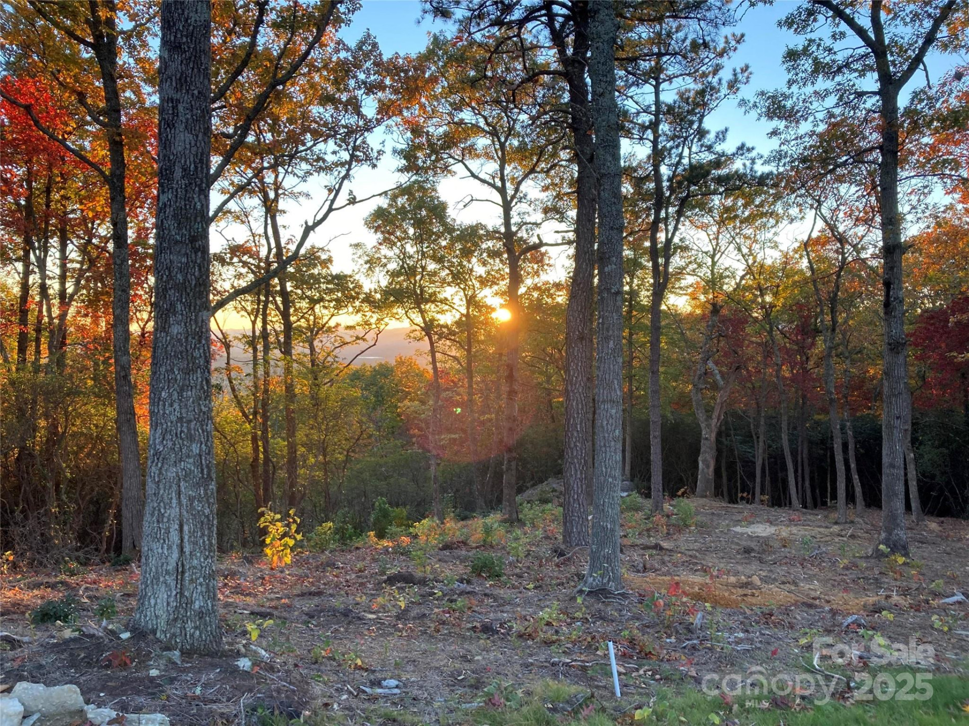 0 Mountain Grove Lane #48 - Photo 4