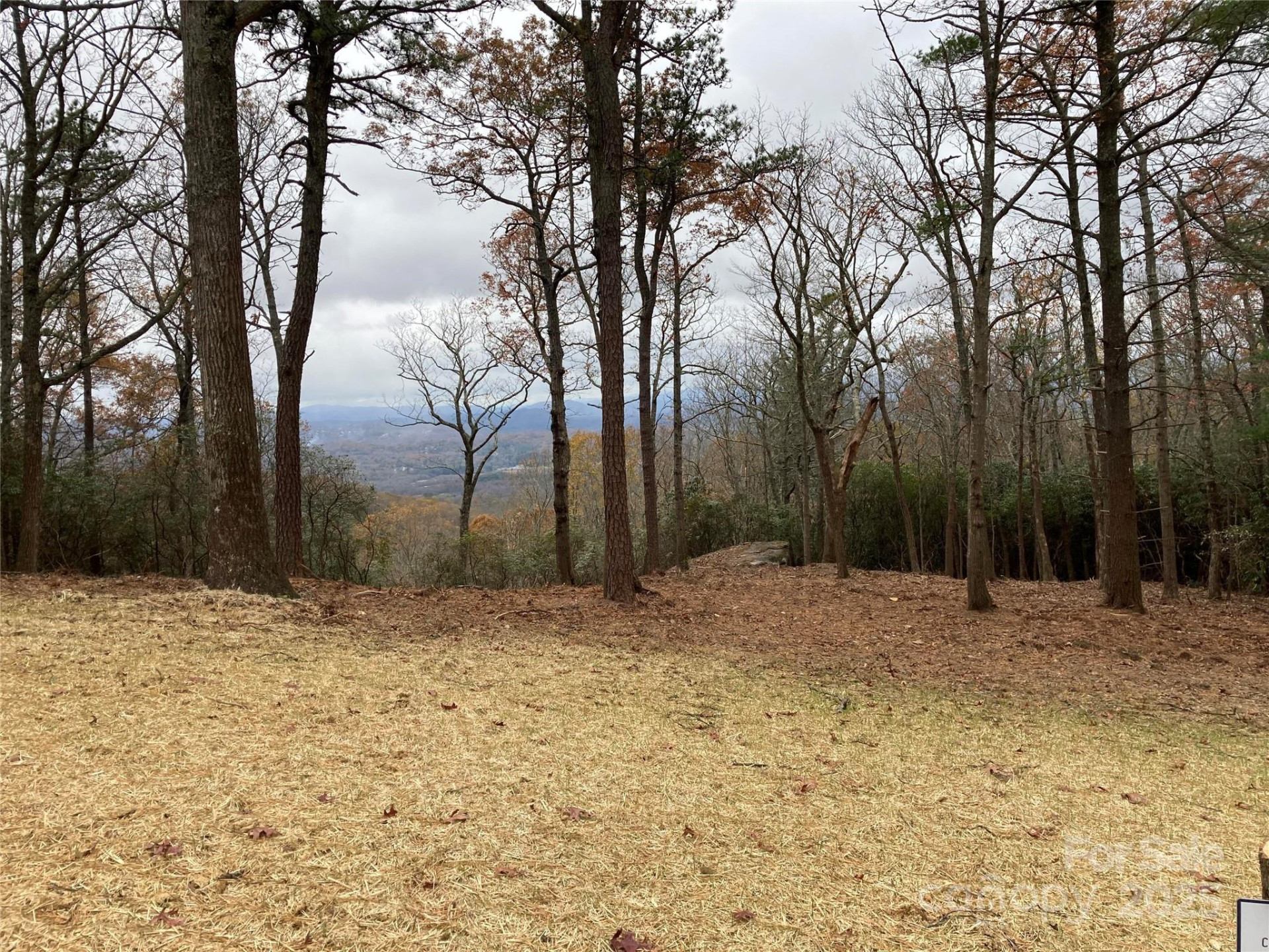 0 Mountain Grove Lane #48 - Photo 5