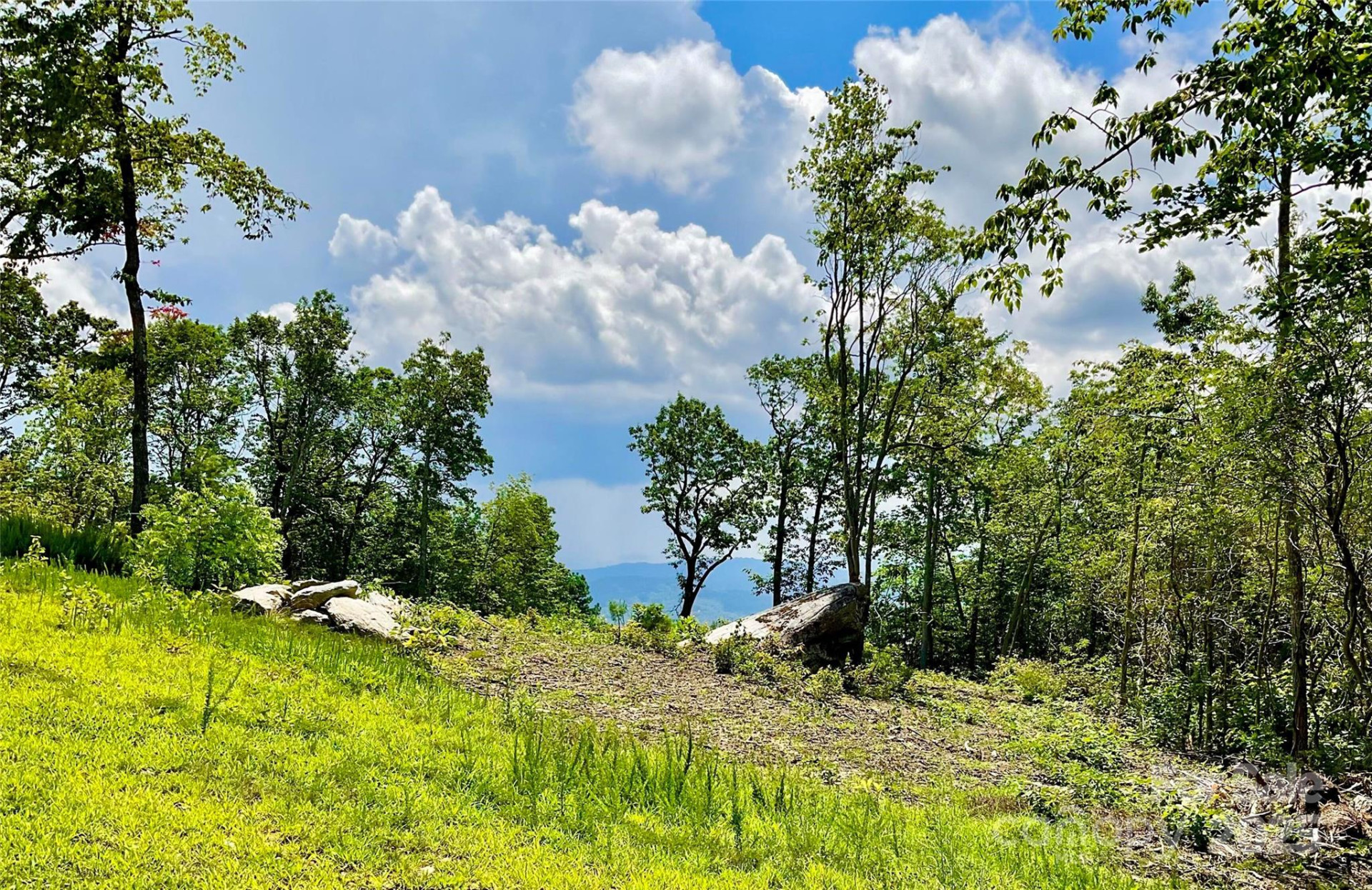 0 Mountain Grove Lane #48 - Photo 6