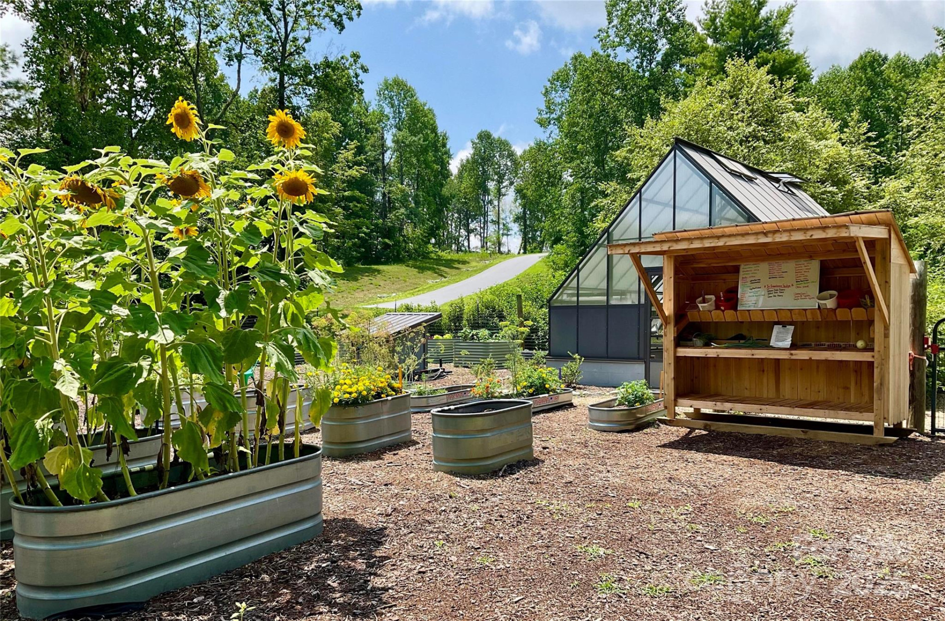 0 Mountain Grove Lane #48 - Photo 10