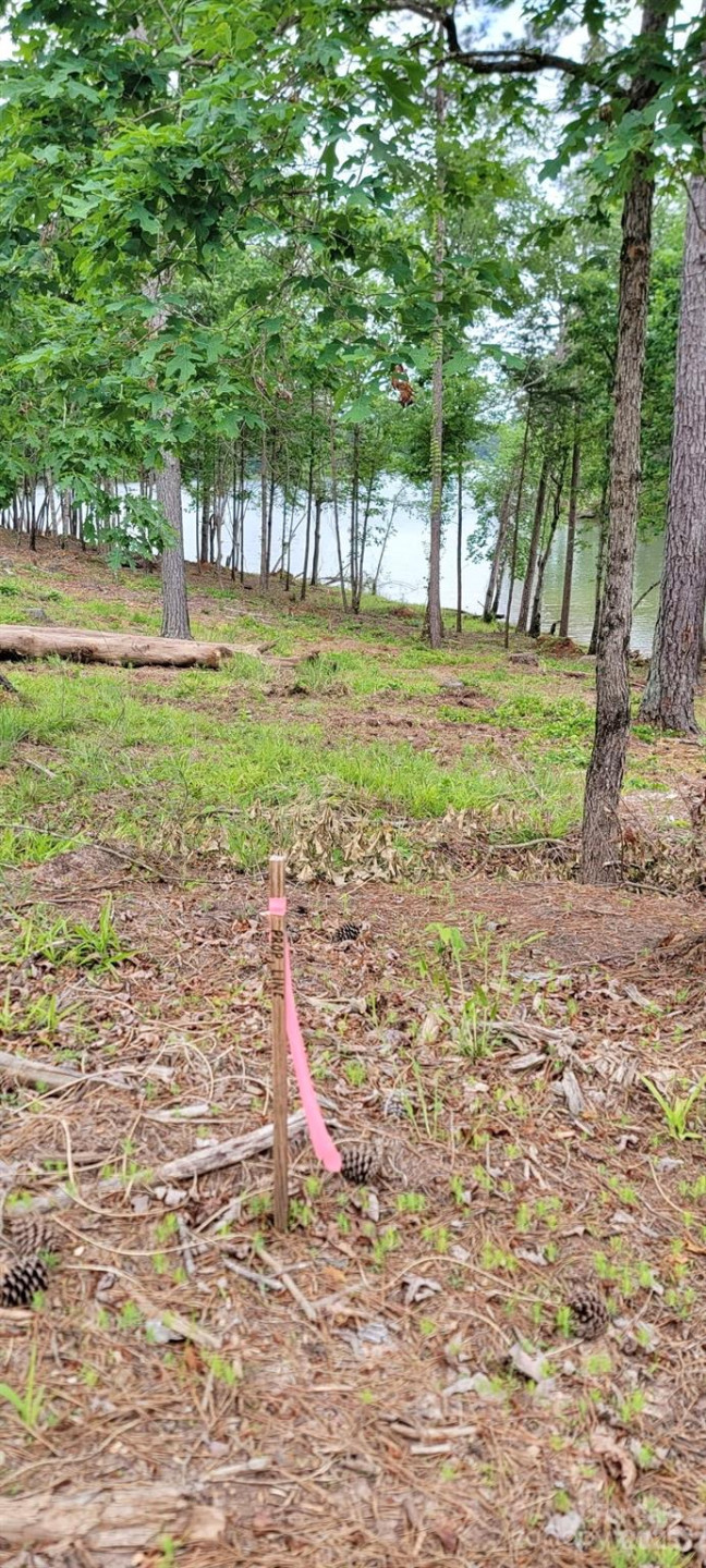 2948 Jumping Run #88 - Photo 3