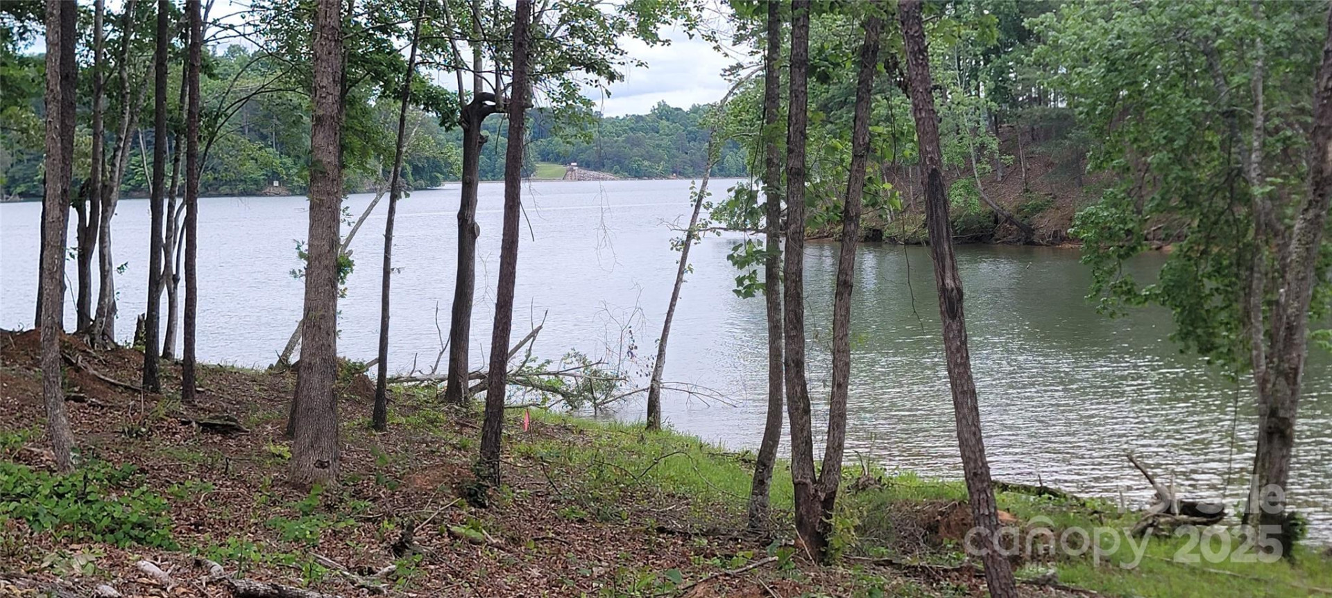 2948 Jumping Run #88 - Photo 4