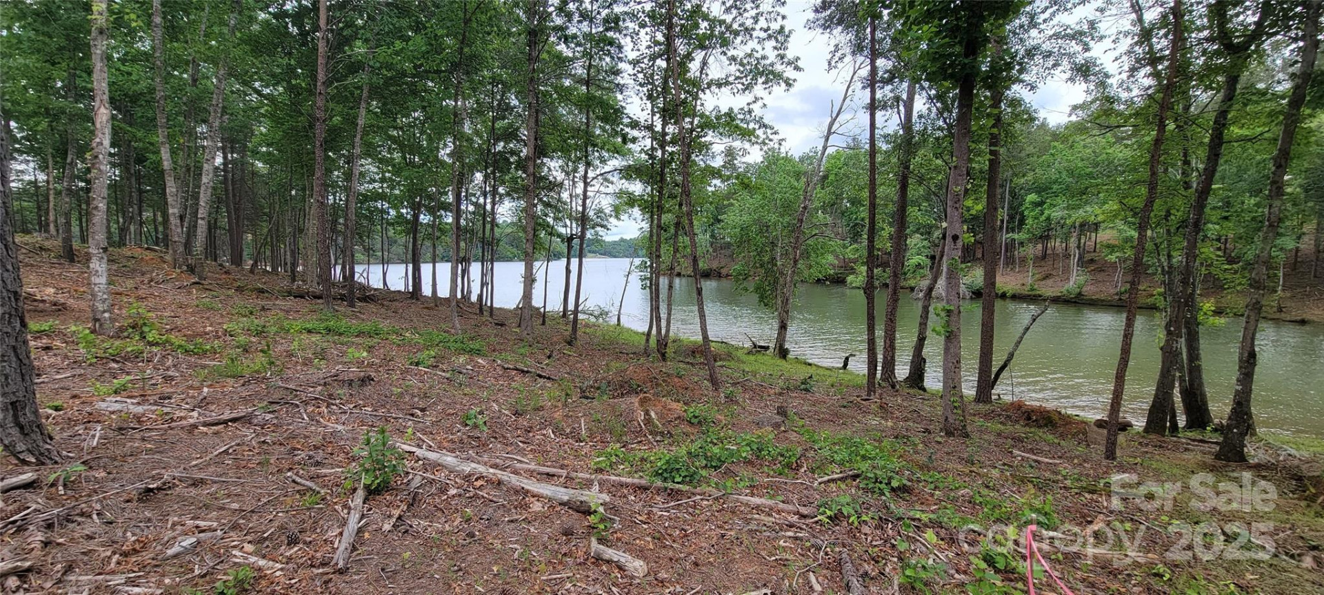 2948 Jumping Run #88 - Photo 5