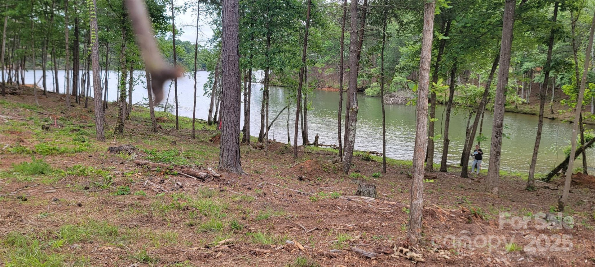 2948 Jumping Run #88 - Photo 6