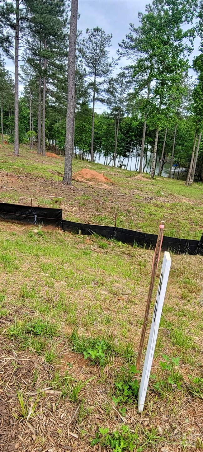 2948 Jumping Run #88 - Photo 8