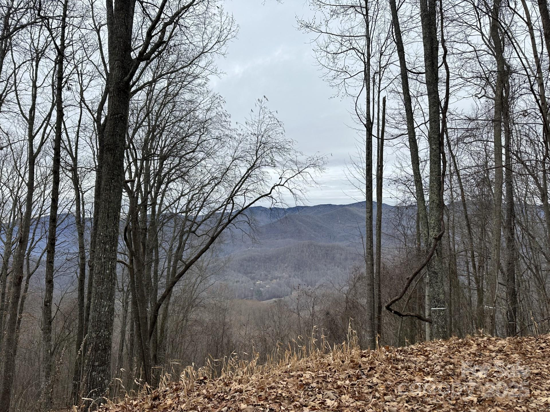 768 Boar Ridge Road #121 - Photo 2