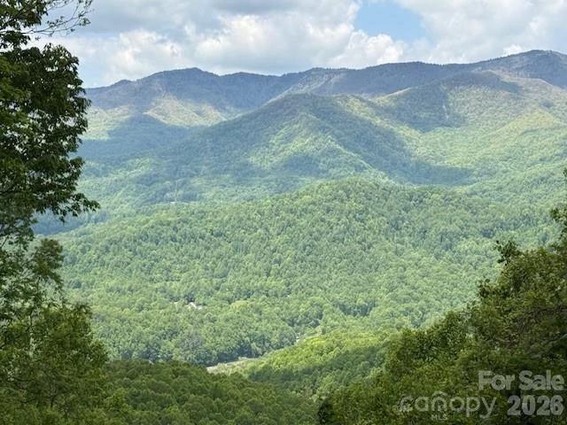 768 Boar Ridge Road #121 - Photo 2