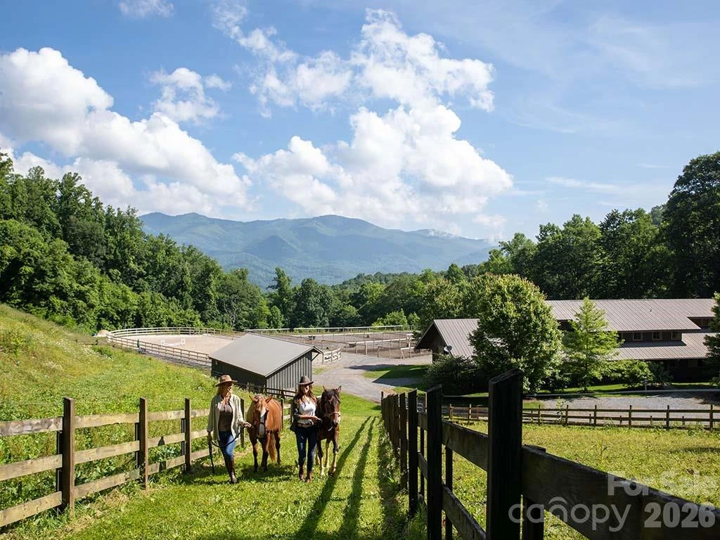 768 Boar Ridge Road #121 - Photo 18