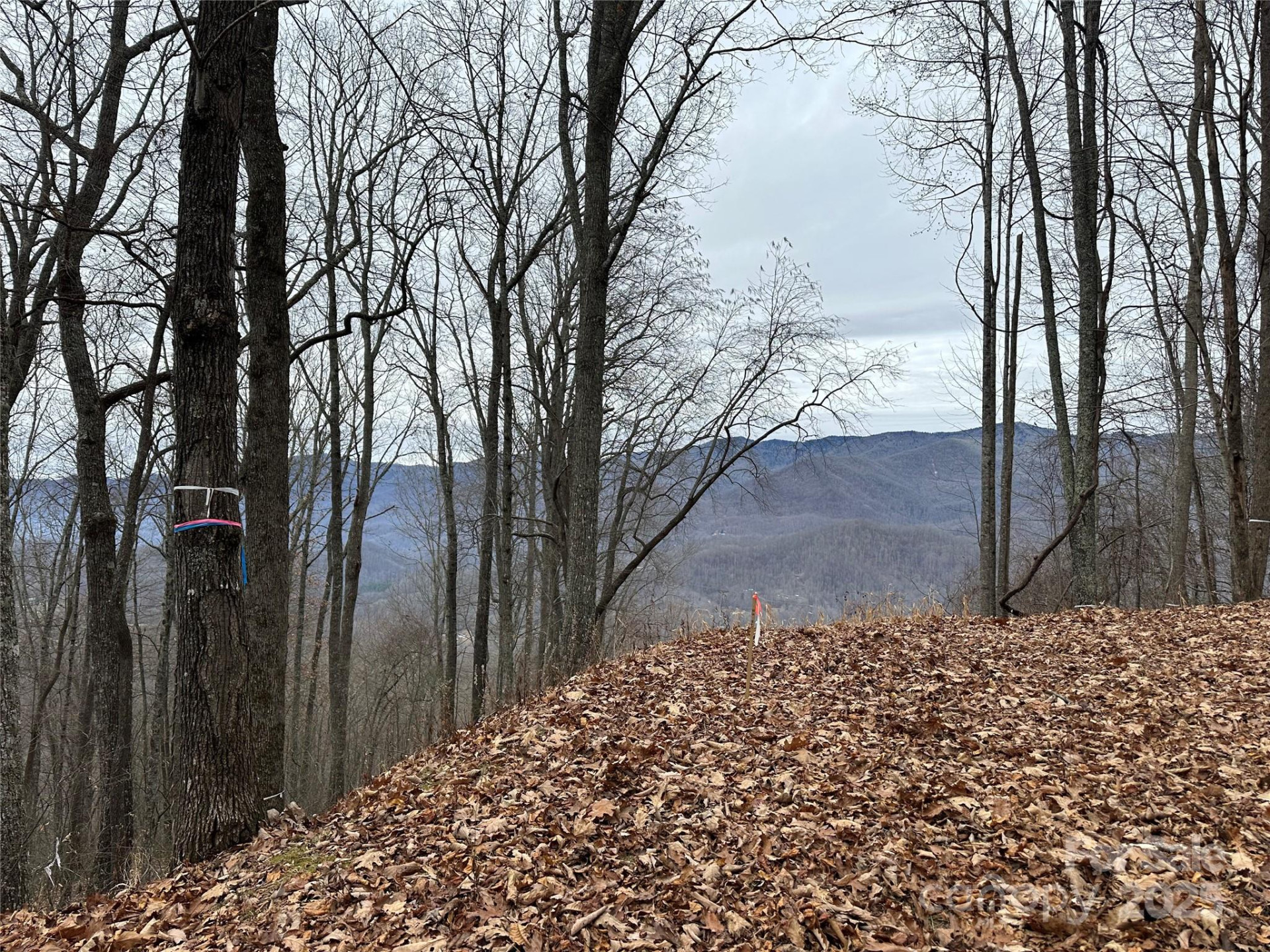 768 Boar Ridge Road #121 - Photo 3