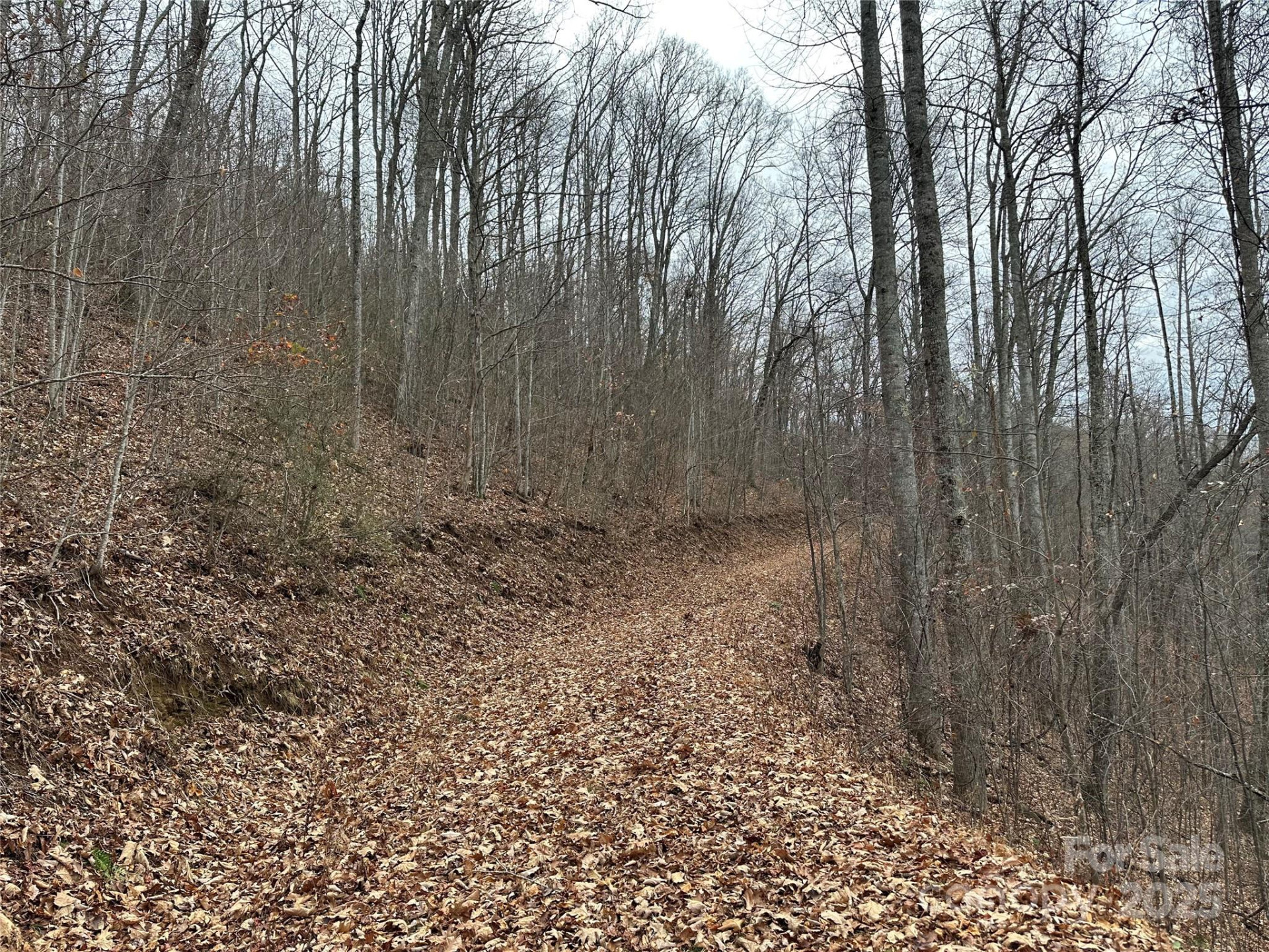 768 Boar Ridge Road #121 - Photo 4