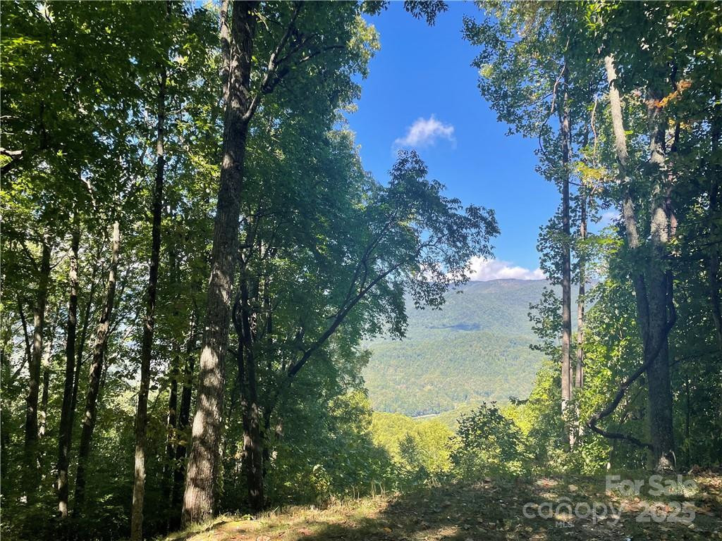 768 Boar Ridge Road #121 - Photo 5