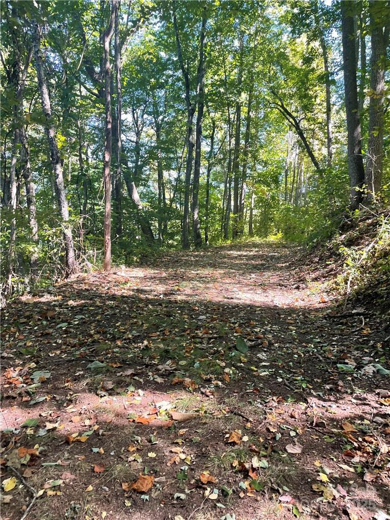 768 Boar Ridge Road #121 - Photo 8