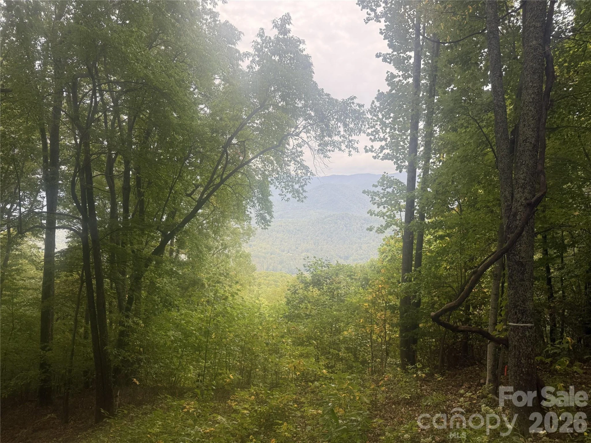 768 Boar Ridge Road #121 - Photo 8