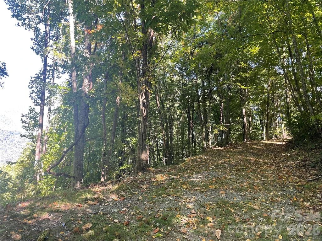 768 Boar Ridge Road #121 - Photo 9