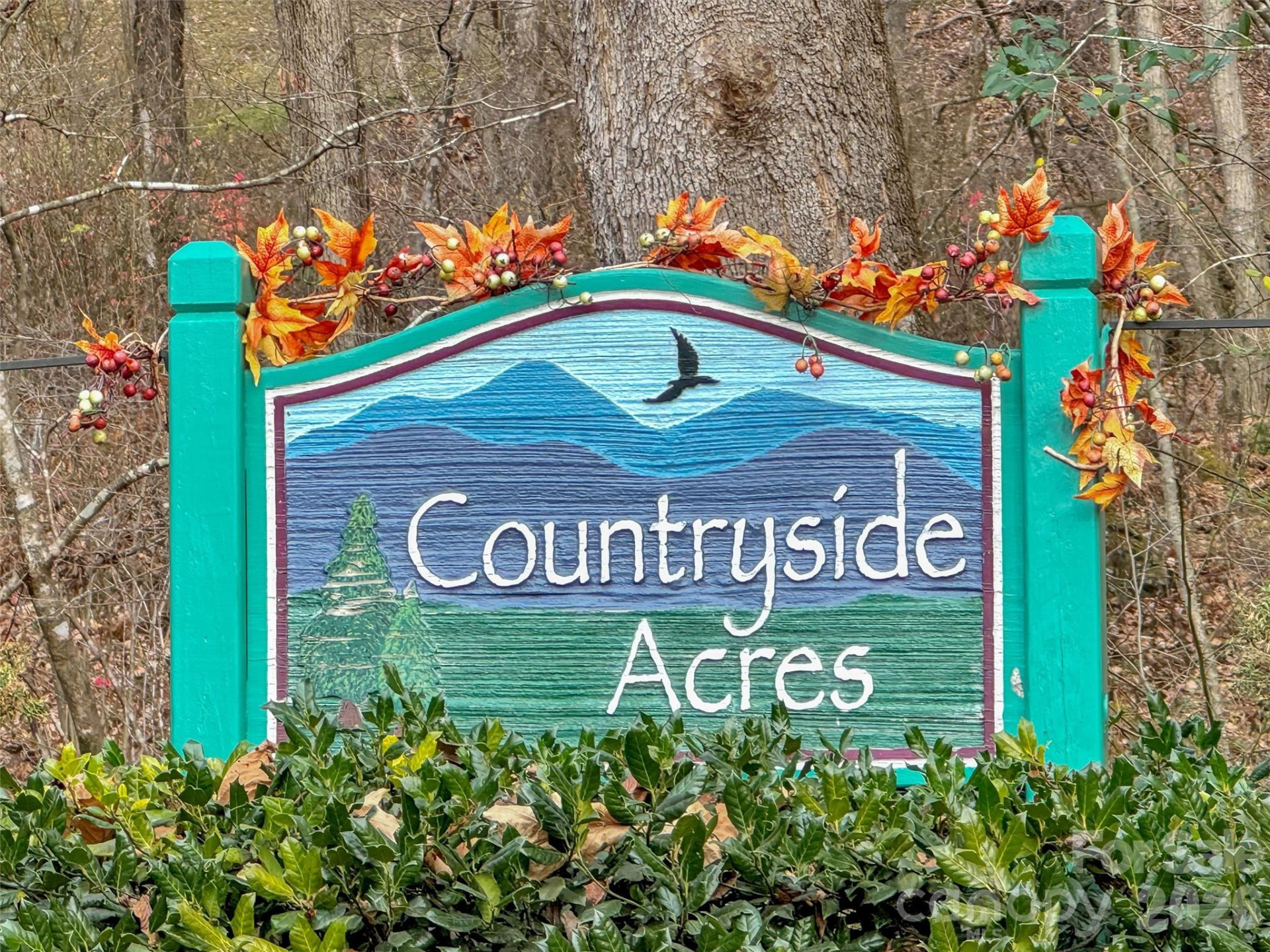 165 Foggy Cove Road - Photo 3