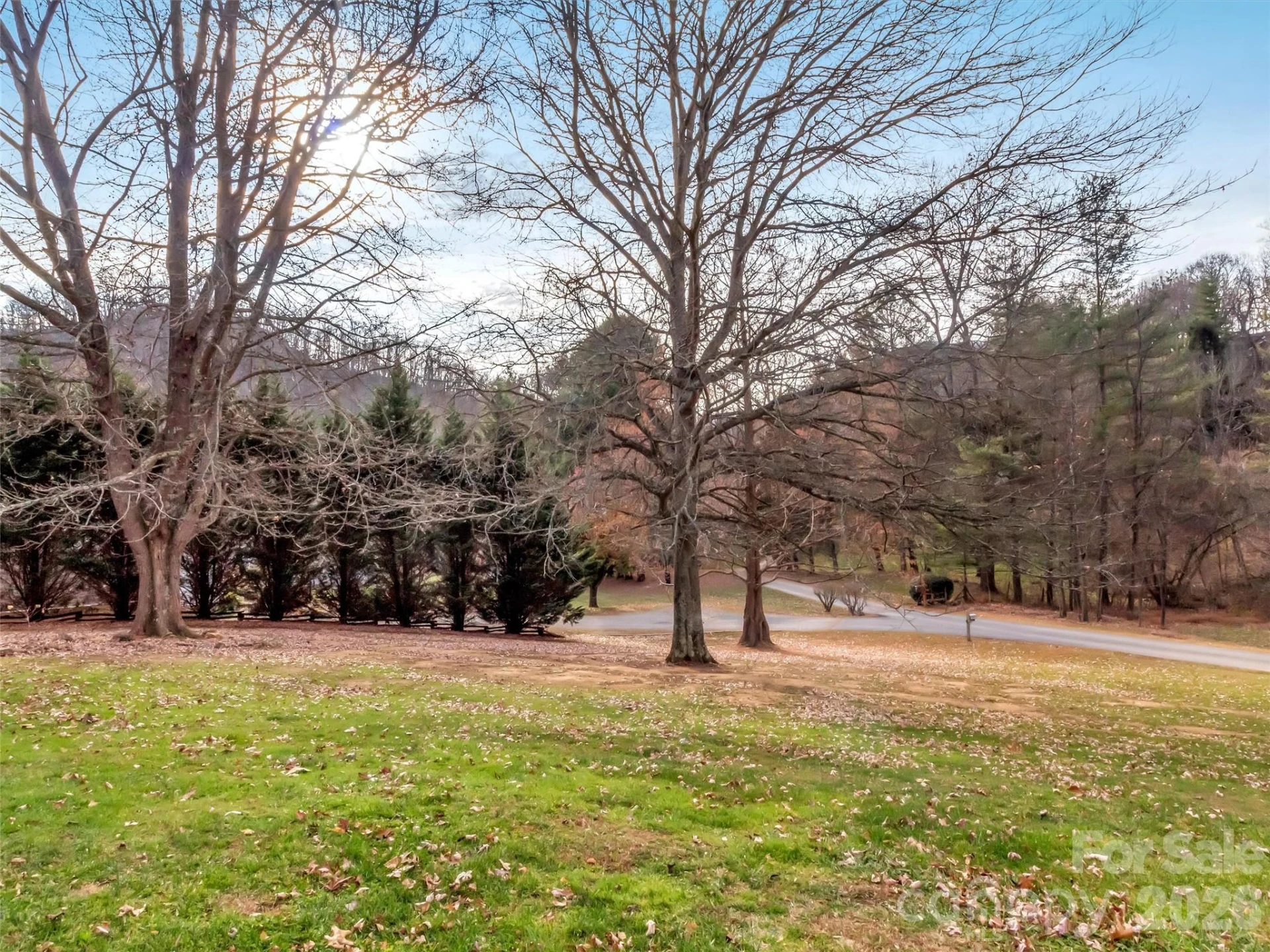 165 Foggy Cove Road - Photo 35