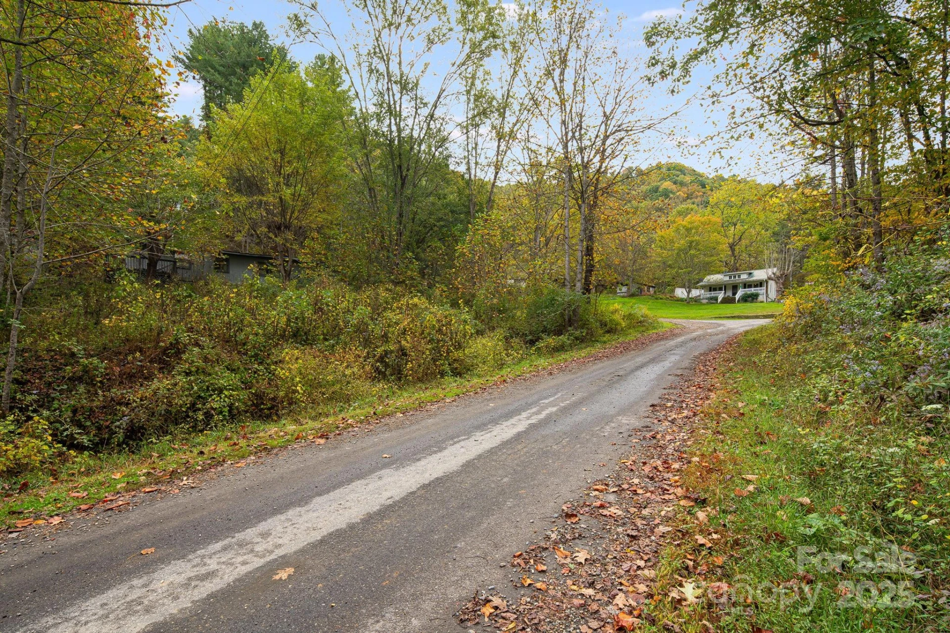 211 Evergreen Road - Photo 4