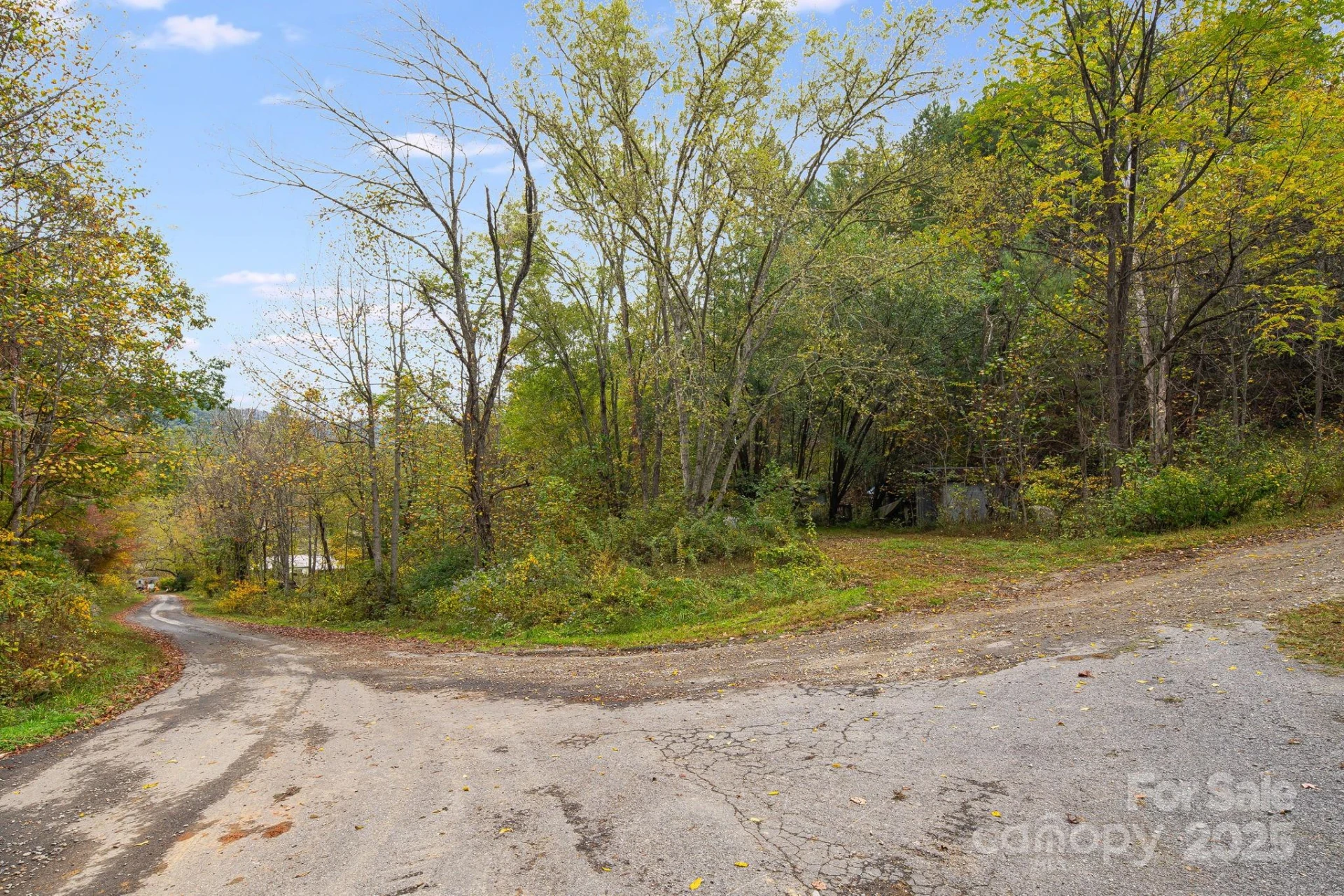 211 Evergreen Road - Photo 5