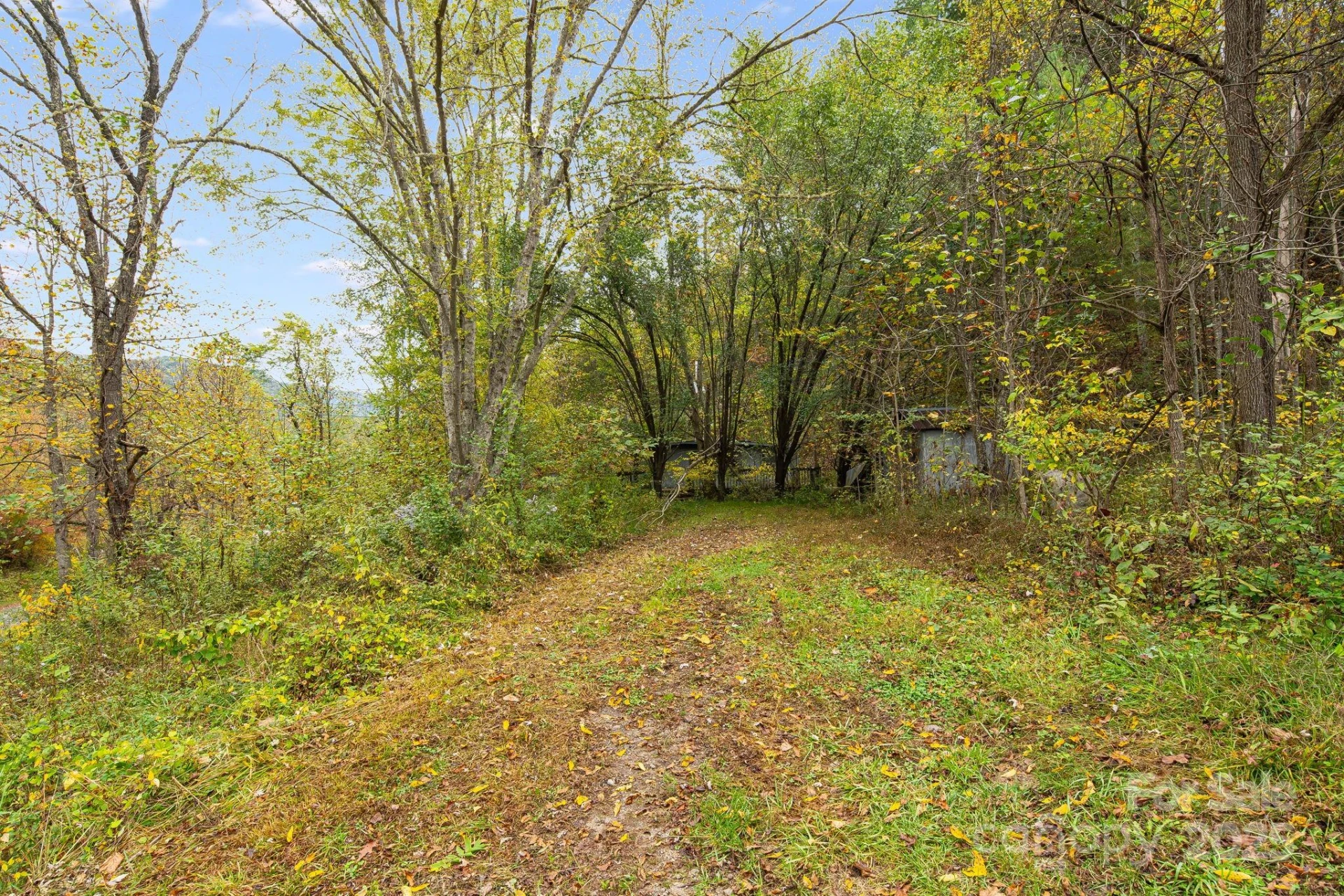 211 Evergreen Road - Photo 6