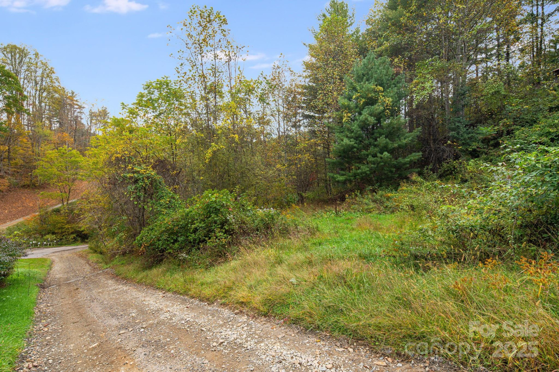211 Evergreen Road - Photo 7