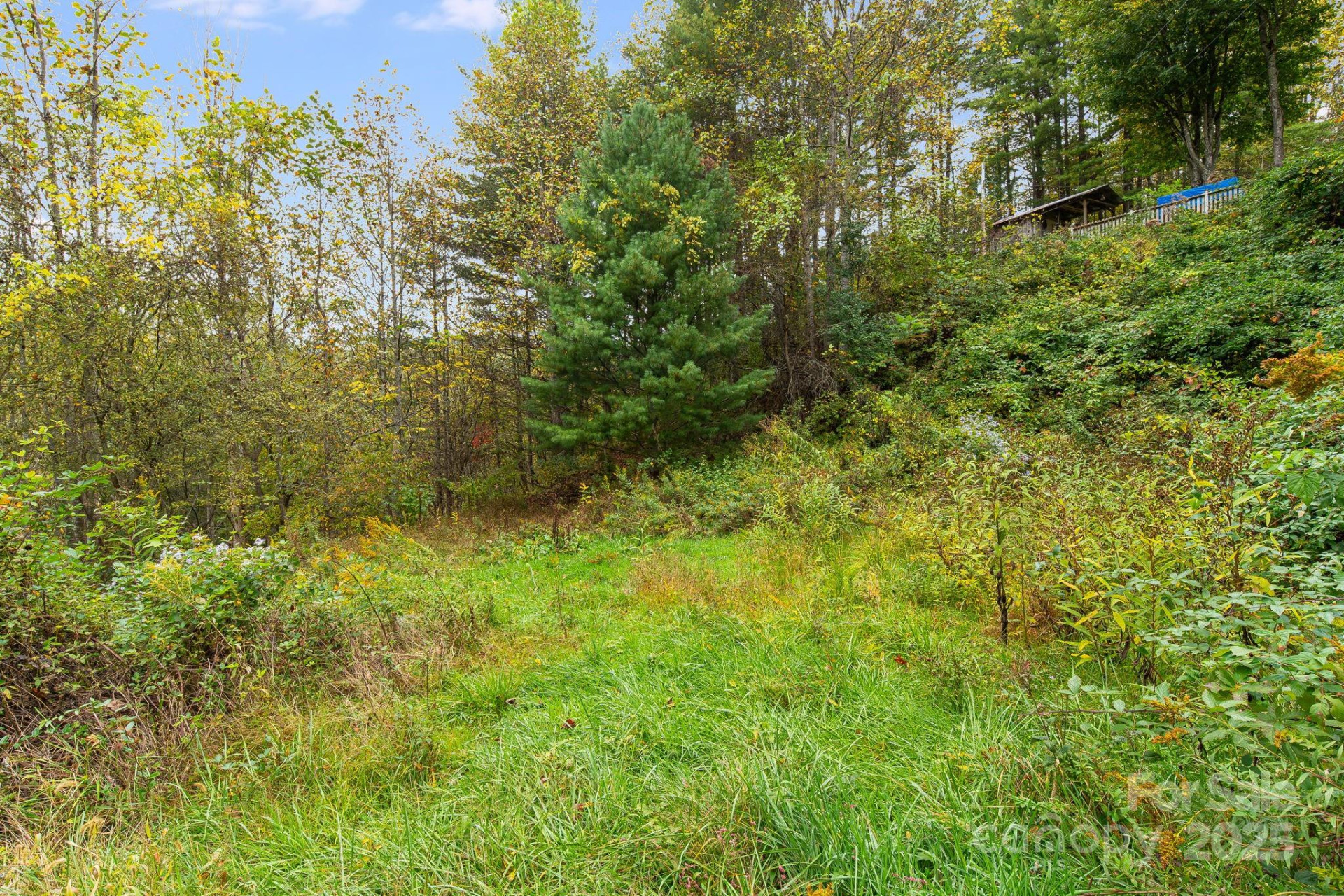 211 Evergreen Road - Photo 8