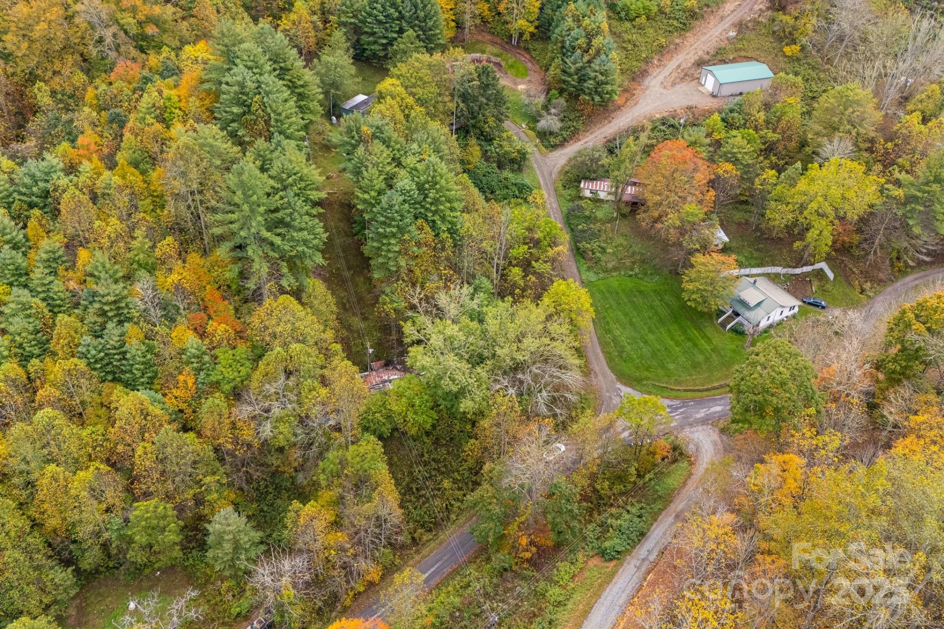 211 Evergreen Road - Photo 9