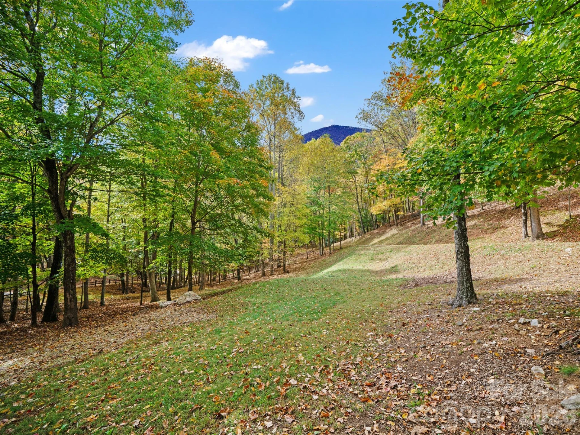 42 Hickory Springs Road #42 - Photo 3