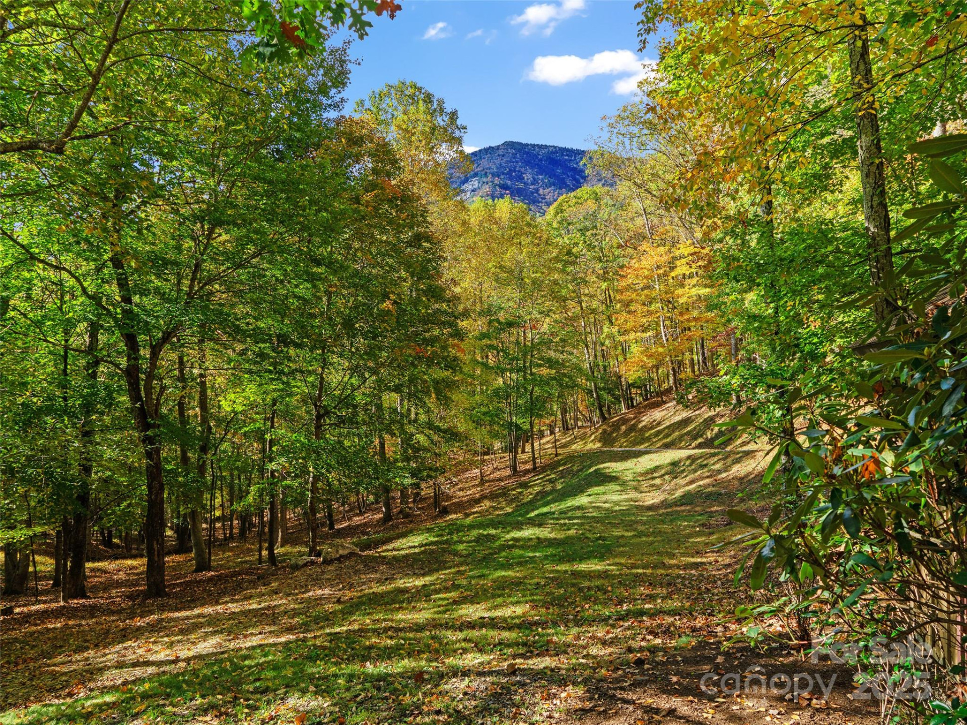 42 Hickory Springs Road #42 - Photo 12