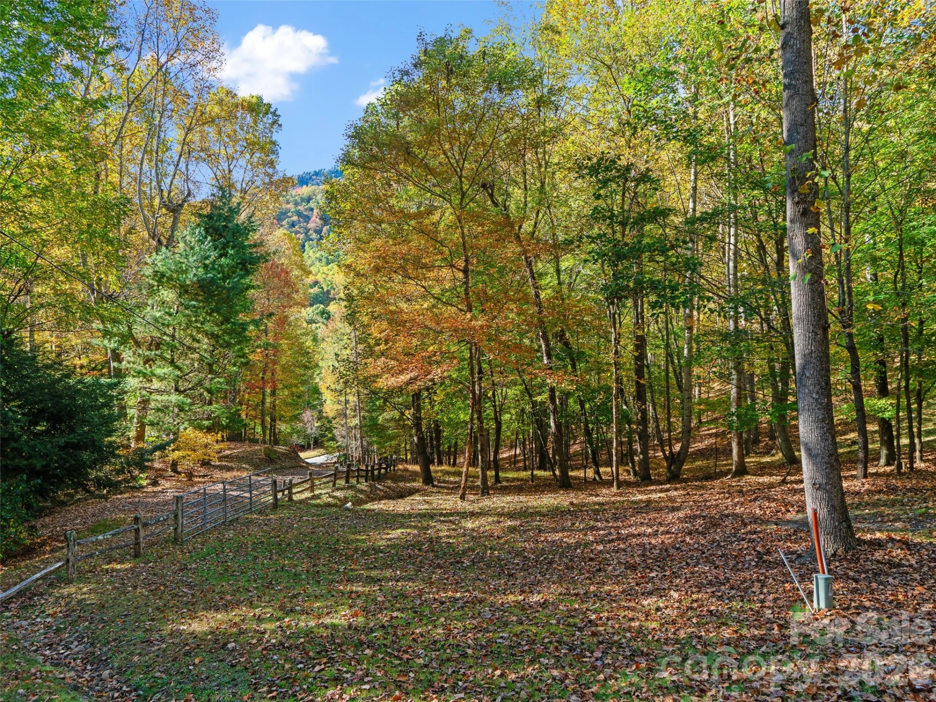 42 Hickory Springs Road #42 - Photo 23