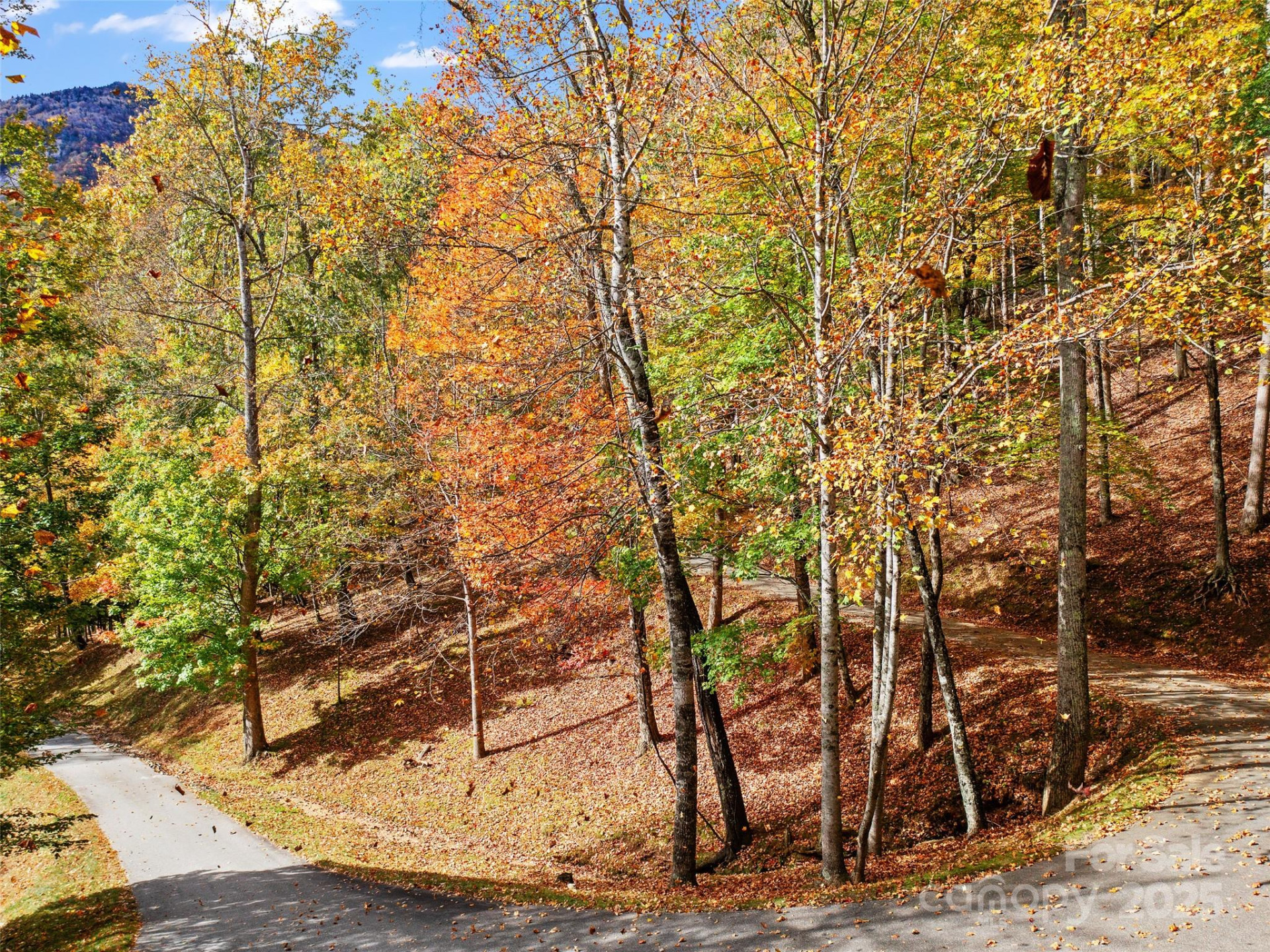 42 Hickory Springs Road #42 - Photo 13