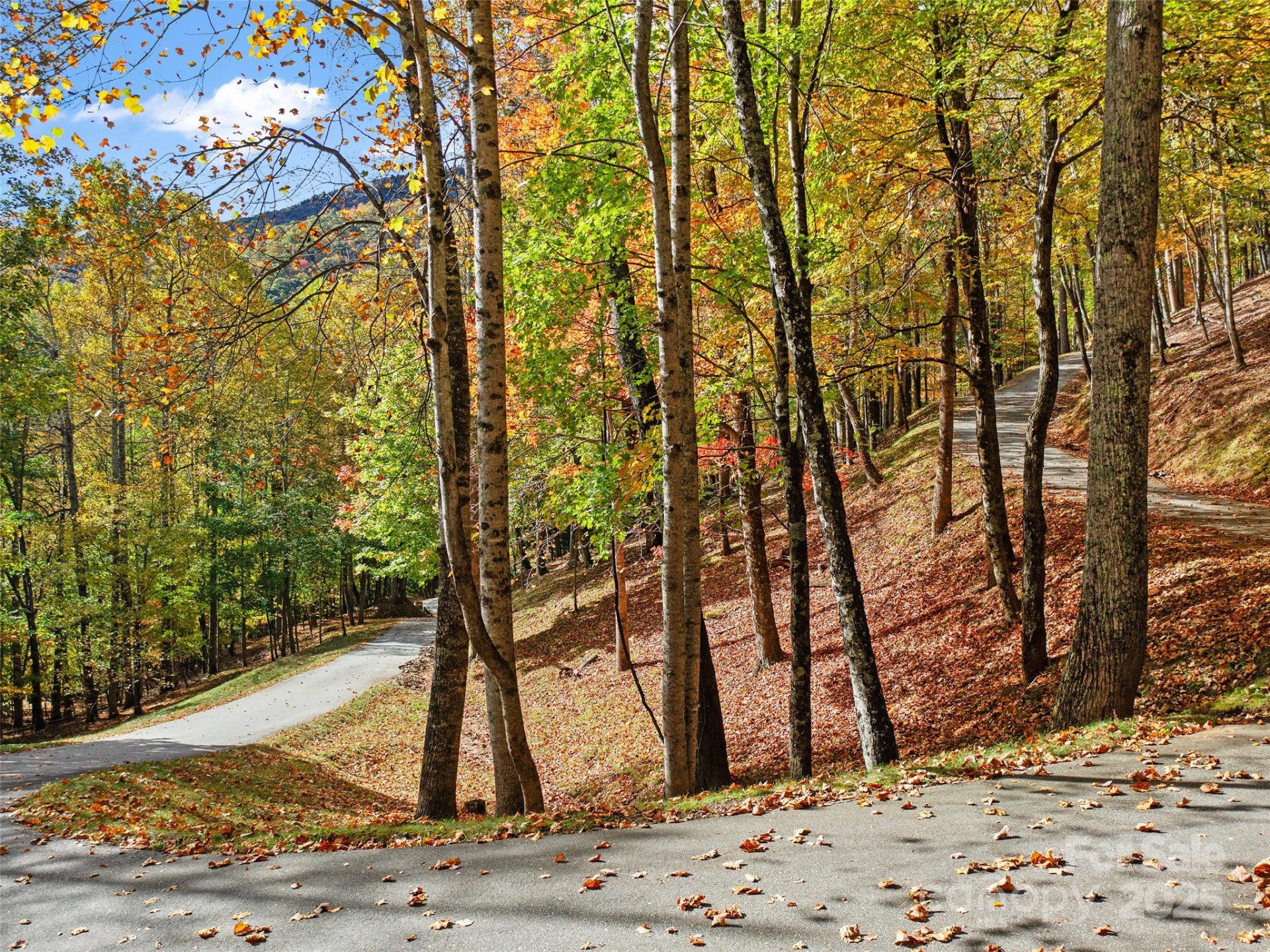 42 Hickory Springs Road #42 - Photo 14